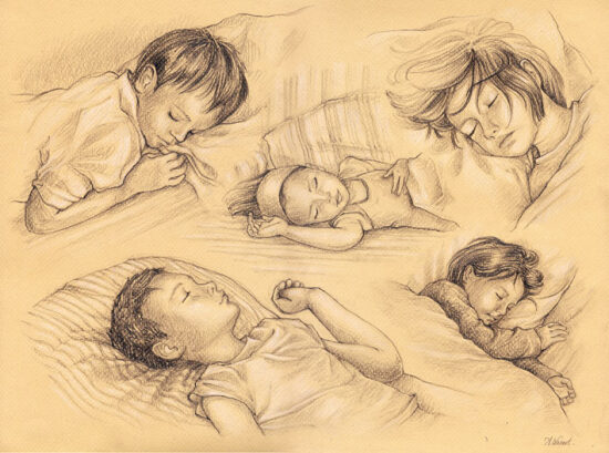 Le sommeil